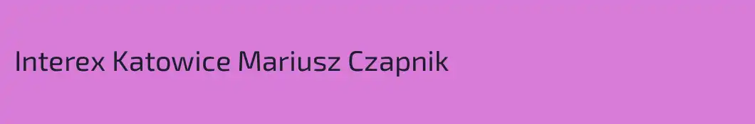 Interex Katowice Mariusz Czapnik